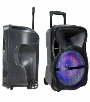 Altoparlante Trolley Ricaricabile 50W