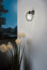 cannove amb