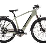 Bici elettrica Aster Hybrid - WD99