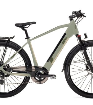 Bici elettrica Aster Hybrid - WD99