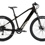 Bici elettrica WORT 29"