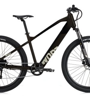 Bici elettrica WORT 29"