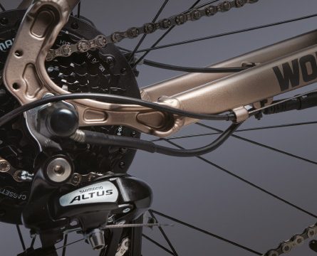 Bici elettrica WORT 29" Cambio Shimano Bici elettrica WORT 29" Cambio Shimano