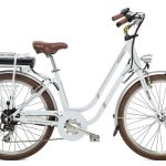 E-bike Rose grigio nuvola