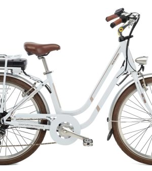 E-bike Rose grigio nuvola