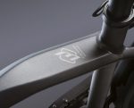 Particolare telaio-Bici elettrica Haira Man - WD99