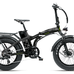 Bici elettrica Armony Fat Asso