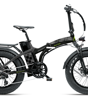 Bici elettrica Armony Fat Asso