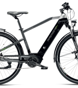 Bici elettrica Armony Viareggio