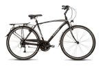 Bici elettrica Casadei Zefiro