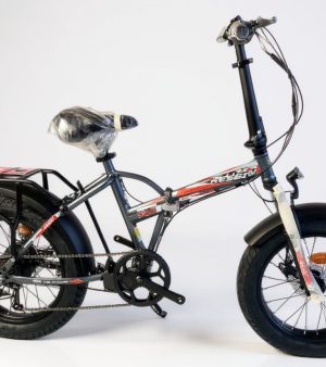 Bici elettrica Fat 20 Redwood Reset