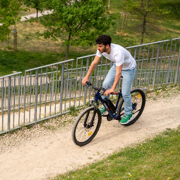 eBike NIlox X6 PLUS eBike NIlox X6 PLUS