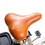 Bici elettrica EMG Audrey