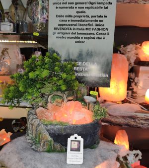 Lampade di sale Himalayano prodotte col nostro brevetto luce della Foresta di Graziosi Cristian
