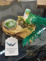 IMG_20251127_162318