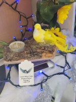 IMG_20251127_162347