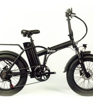E-bike- Bulldog Fat 20 Steel