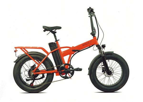 e-bike Grizzly 20 Fat e-bike Grizzly 20 Fat