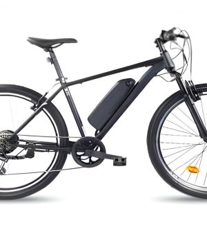 Bici elettrica Casadei E-MTB275-10.4AH